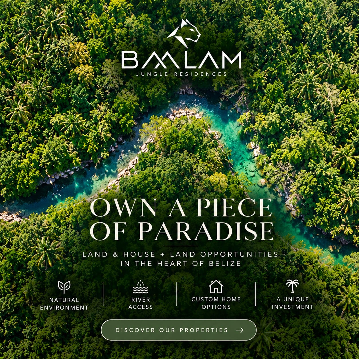 Baalam Jungle Residences project presentation artwork